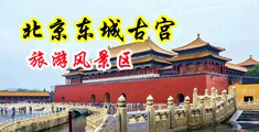 干女人bb电影中国北京-东城古宫旅游风景区